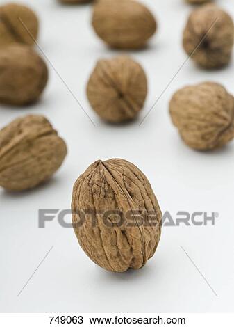 Walnuts View Large Photo Image Stock Image - Walnuts. Fotosearch