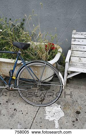 A bicycle resting against a plant pot View Large Photo Image Stock Photography - A bicycle resting against a plant pot. Fotosearch