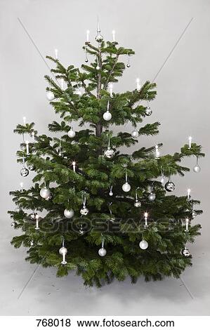 Stock Photo - A Christmas Tree. Fotosearch