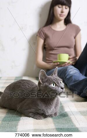 A cat lying on a bed with a young woman in the background View Large Photo Image Stock Photograph - A cat lying on a bed with a young woman in the background. Fotosearch