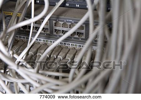 Cables connected to a network server View Large Photo Image Stock Photo - Cables connected to a network server . Fotosearch