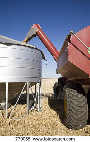 Stock Photography - A combine pouring seeds into a container. Fotosearch