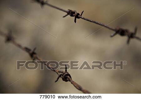 Rusty barbed wire View Large Photo Image Stock Image - Rusty barbed wire. Fotosearch