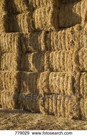 Stock Photo - Stacked bales of hay. Fotosearch