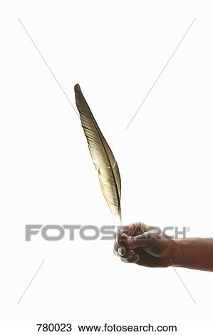 A human hand holding a feather View Large Photo Image Stock Image - A human hand holding a feather. Fotosearch