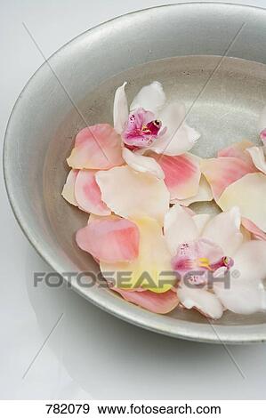 A bowl of water with flower petals View Large Photo Image Stock Photo - A bowl of water with flower petals. Fotosearch