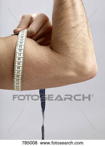 Detail of a man measuring his bicep View Large Photo Image Stock Photo - Detail of a man measuring his bicep. Fotosearch