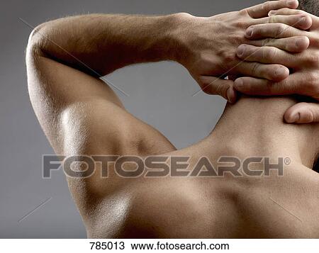 Rear view of a man with hands behind his head View Large Photo Image Stock Image - Rear view of a man with hands behind his head. Fotosearch