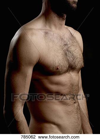 Stock Image - Torso of a shirtless man. Fotosearch