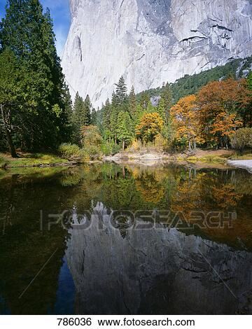 A mountain reflected in a lake, Yosemite National Park, Sierra Nevada, California, USA View Large Photo Image Stock Photograph - A mountain reflected in a lake, Yosemite National Park, Sierra Nevada, California, USA. Fotosearch