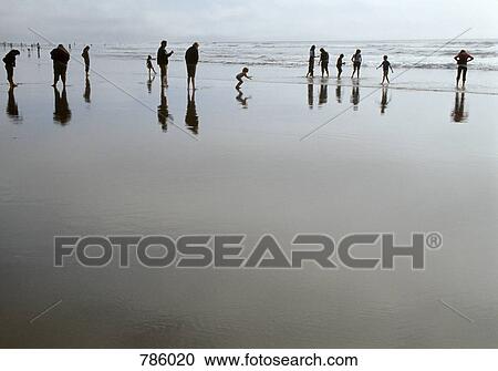 People on the beach at low tide, San Francisco, California, USA View Large Photo Image Stock Image - People on the beach at low tide, San Francisco, California, USA. Fotosearch