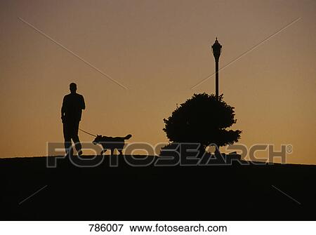 Silhouette of a man walking a dog View Large Photo Image Stock Photo - Silhouette of a man walking a dog. Fotosearch