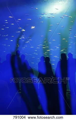 Reflection of visitors on an aquarium tank View Large Photo Image Picture - Reflection of visitors on an aquarium tank. Fotosearch