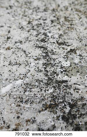 Snow and pebbles on a footpath View Large Photo Image Stock Image - Snow and pebbles on a footpath. Fotosearch