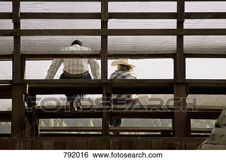 Rear view of spectators sitting on bleachers View Large Photo Image Stock Photograph - Rear view of spectators sitting on bleachers. Fotosearch