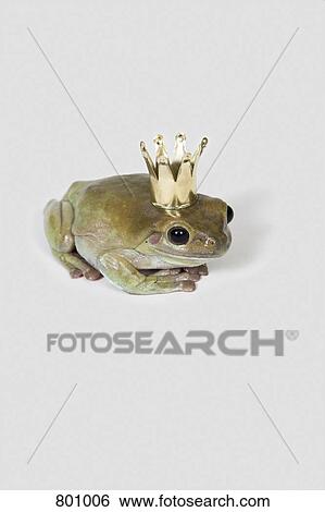 Stock Photograph - A frog wearing a crown, studio shot. Fotosearch