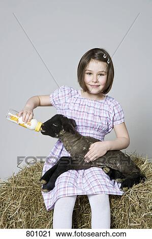 A girl feeding a black lamb, studio shot View Large Photo Image Stock Image - A girl feeding a black lamb, studio shot. Fotosearch