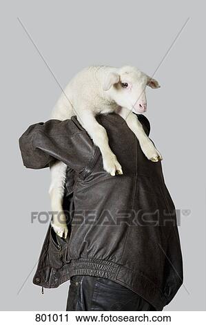Stock Image - A man carrying a lamb on his shoulder, rear view, studio shot. Fotosearch