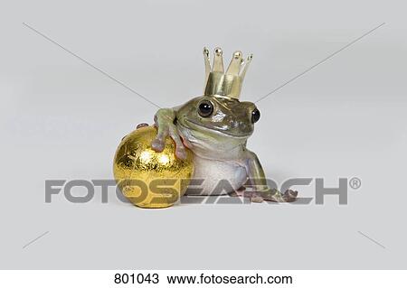 Stock Image - The frog prince and gold ball, studio shot. Fotosearch