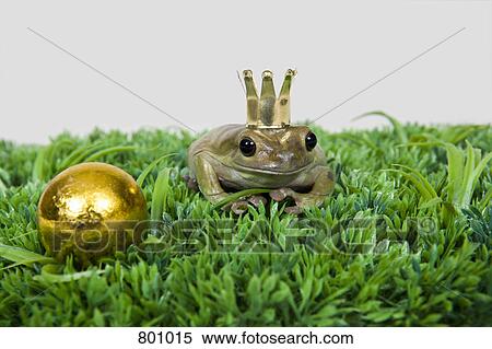 Stock Photography - The frog prince and gold ball, studio shot. Fotosearch
