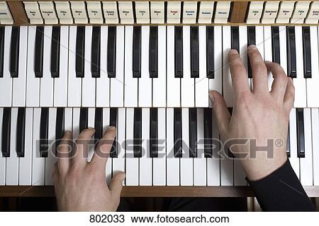 Human hands playing a organ View Large Photo Image Stock Image - Human hands playing a organ. Fotosearch