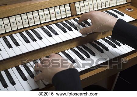 Human hands playing a organ View Large Photo Image Stock Photograph - Human hands playing a organ. Fotosearch