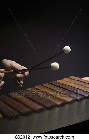 Human hands playing a xylophone View Large Photo Image Stock Image - Human hands playing a xylophone. Fotosearch