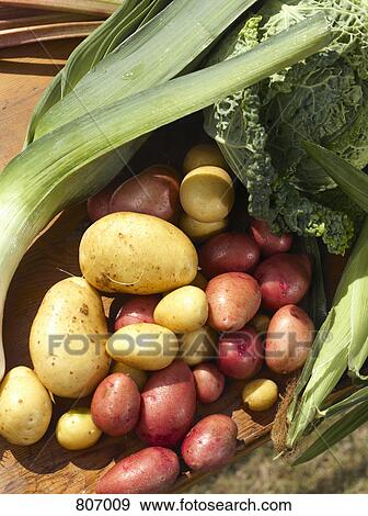 Selection of fresh vegetables View Large Photo Image Stock Photo - Selection of fresh vegetables. Fotosearch