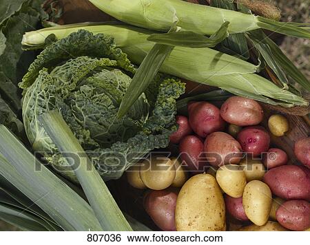 Stock Photograph - Selection of fresh vegetables. Fotosearch