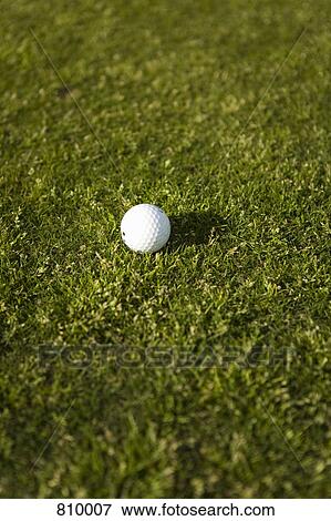 A golf ball on grass View Large Photo Image Stock Photo - A golf ball on grass. Fotosearch