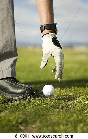 Detail of a woman putting a golf ball on a tee View Large Photo Image Stock Image - Detail of a woman putting a golf ball on a tee. Fotosearch