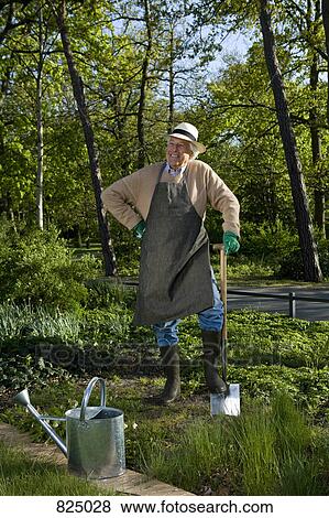 A senior man taking a break from gardening View Large Photo Image Stock Photo - A senior man taking a break from gardening. Fotosearch