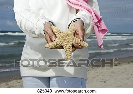 A senior woman holding a starfish on a beach, midsection View Large Photo Image Stock Photo - A senior woman holding a starfish on a beach, midsection. Fotosearch