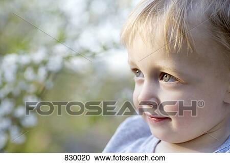 Portrait of a young boy View Large Photo Image Stock Image - Portrait of a young boy. Fotosearch