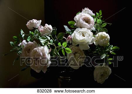 A bouquet of roses View Large Photo Image Stock Photo - A bouquet of roses. Fotosearch