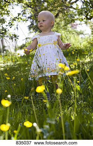 A toddler standing amongst wildflowers View Large Photo Image Stock Photo - A toddler standing amongst wildflowers. Fotosearch