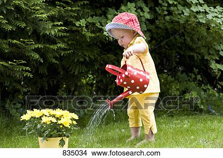 A toddler watering daisies, outdoors View Large Photo Image Picture - A toddler watering daisies, outdoors. Fotosearch