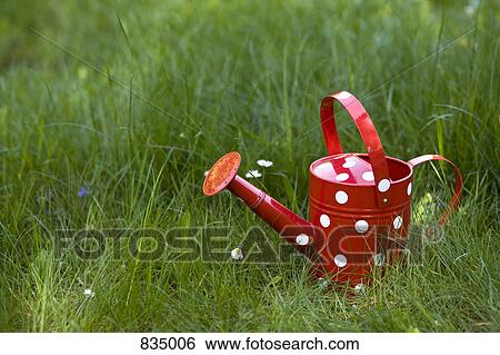 A watering can on grass View Large Photo Image Stock Photograph - A watering can on grass. Fotosearch