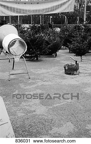 Stock Image - Christmas tree lot. Fotosearch