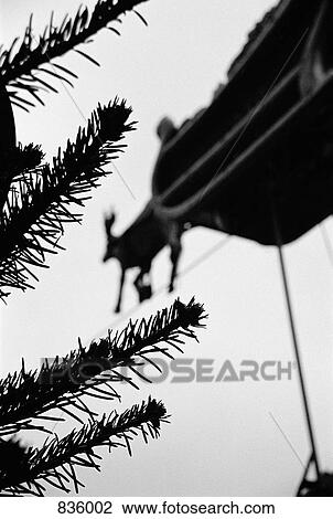 Detail of a Christmas tree in a lot View Large Photo Image Stock Image - Detail of a Christmas tree in a lot. Fotosearch