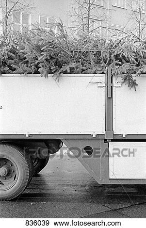 Detail of Christmas trees piled up in a truck View Large Photo Image Stock Photo - Detail of Christmas trees piled up in a truck. Fotosearch
