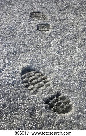 Footprints in snow View Large Photo Image Stock Photo - Footprints in snow. Fotosearch
