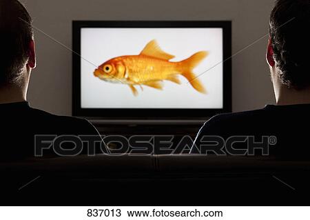 Stock Image - Two men watching TV, rear view. Fotosearch