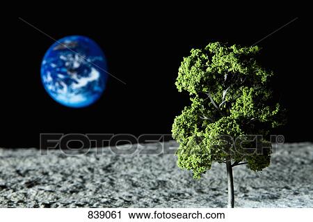 Stock Image - A tree growing on the moon and Planet Earth in the background. Fotosearch