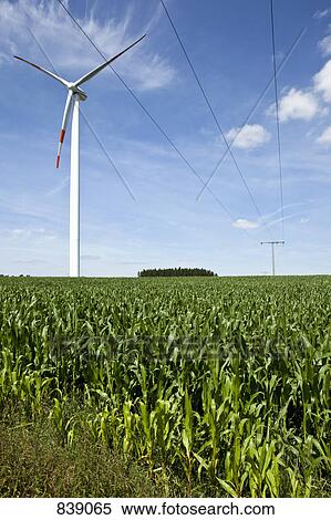 Wind Turbines in a field View Large Photo Image Stock Photography - Wind Turbines in a field. Fotosearch