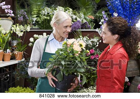 A florist and a customer looking at a plant View Large Photo Image Stock Photo - A florist and a customer looking at a plant. Fotosearch