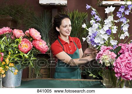 A florist arranging flowers View Large Photo Image Stock Photography - A florist arranging flowers. Fotosearch