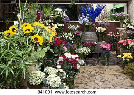 Bunches of flowers in a florists View Large Photo Image Stock Image - Bunches of flowers in a florists. Fotosearch