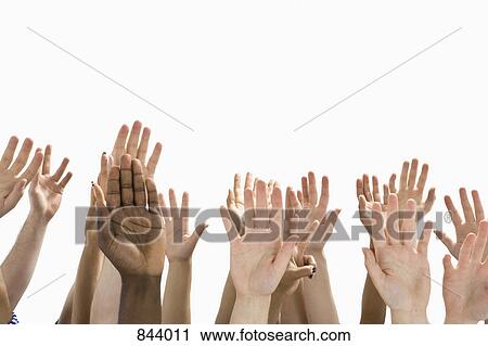 A large group of raised hands View Large Photo Image Stock Image - A large group of raised hands. Fotosearch