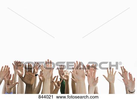 A large group of raised hands View Large Photo Image Stock Image - A large group of raised hands. Fotosearch